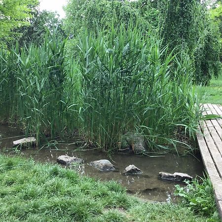 Euro Apartments Lidicka 39 布尔诺 外观 照片