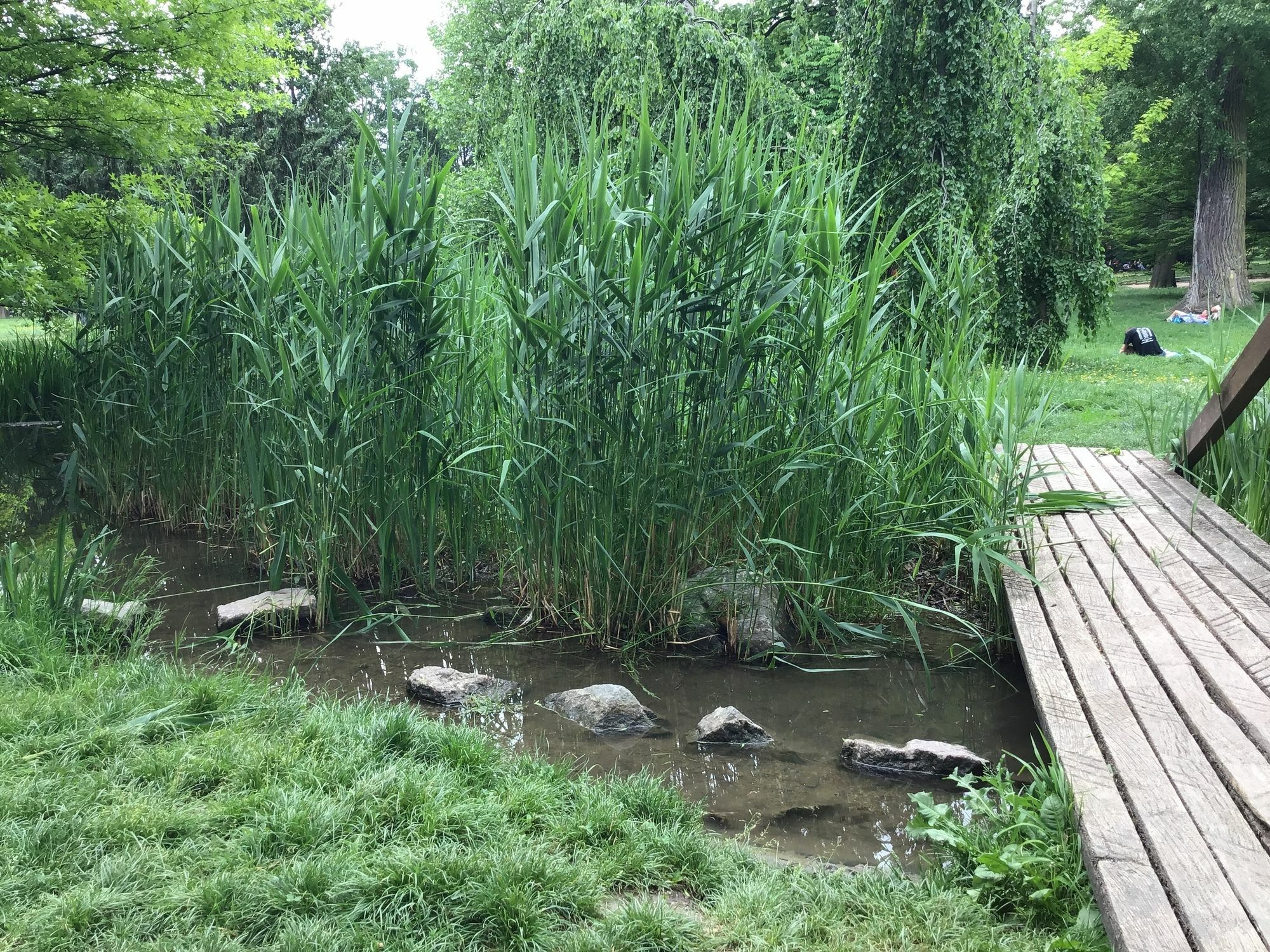 Euro Apartments Lidicka 39 布尔诺 外观 照片